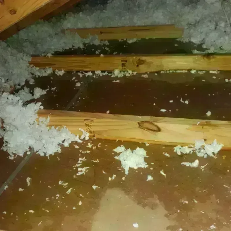 Attic Water Damage in Kingfisher, OK