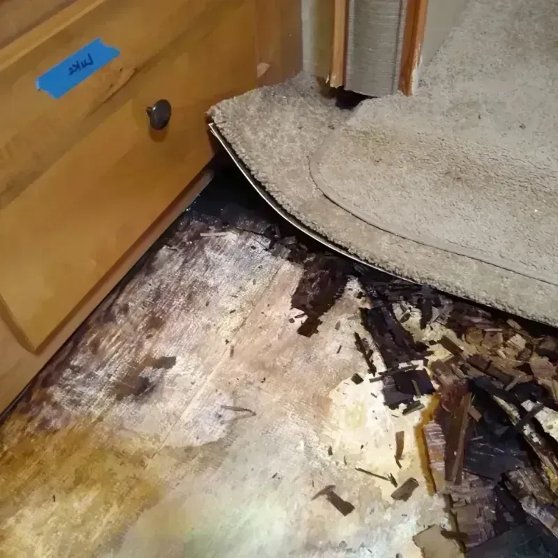 Wood Floor Water Damage in Kingfisher, OK